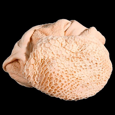 Рубец